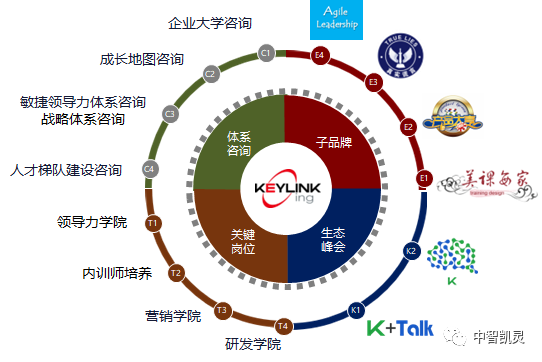 知识价值曲线：理解咨询在新产品市场开发过程中的效用与选择