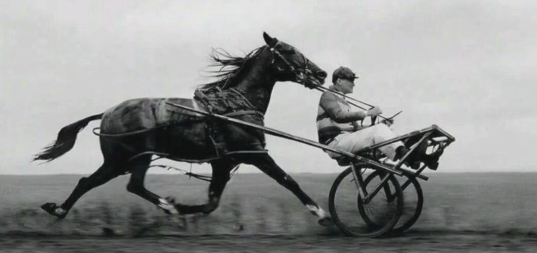 味觉：Harness时代，最后的工程护城河